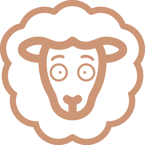 fearful sheep
