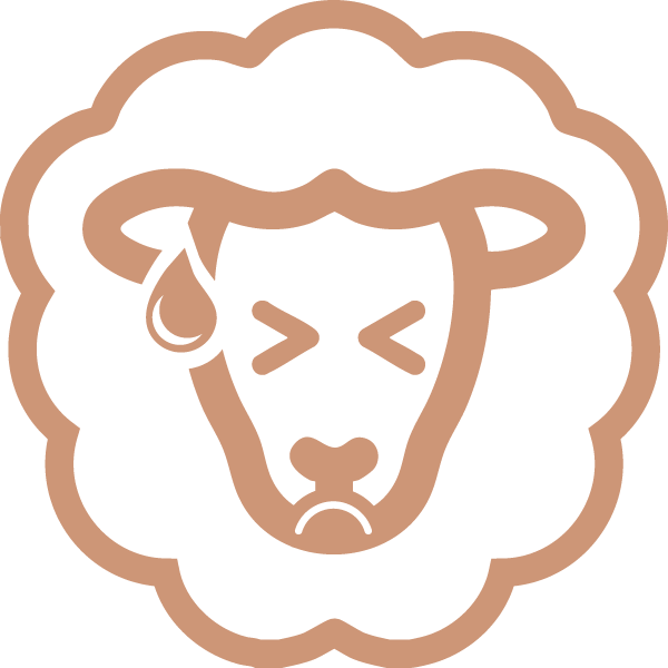 ill sheep